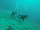 Hawaii Scuba divng 30