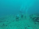 Hawaii Scuba divng 40