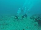 Hawaii Scuba divng 41