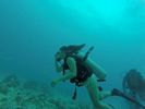 Hawaii Scuba divng 43