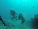 Hawaii Scuba divng 44