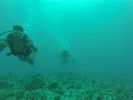 Hawaii Scuba divng 47