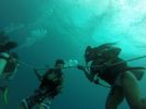 Hawaii Scuba divng 06