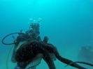 Hawaii Scuba divng 80