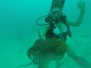Hawaii Scuba divng 87