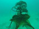 Hawaii Scuba divng 90