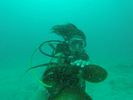 Hawaii Scuba divng 91