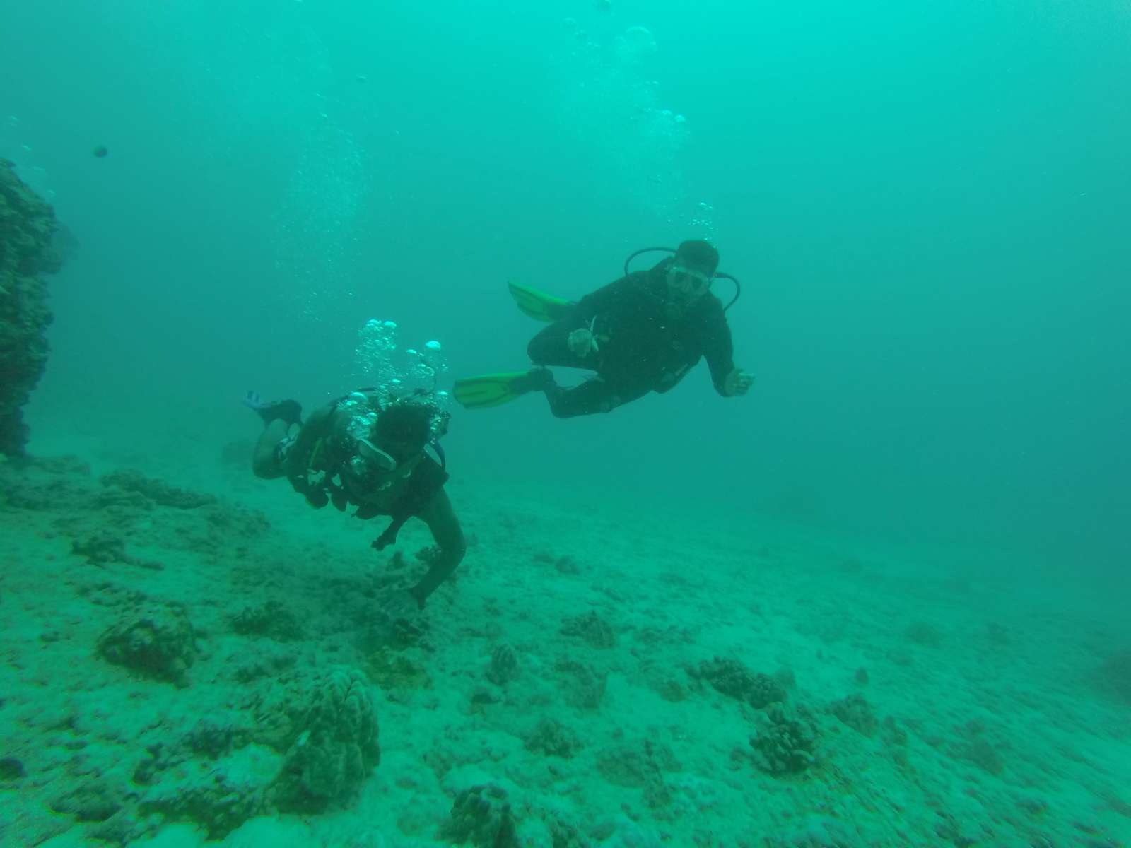 Hawaii Scuba Diving - 06-04-2016