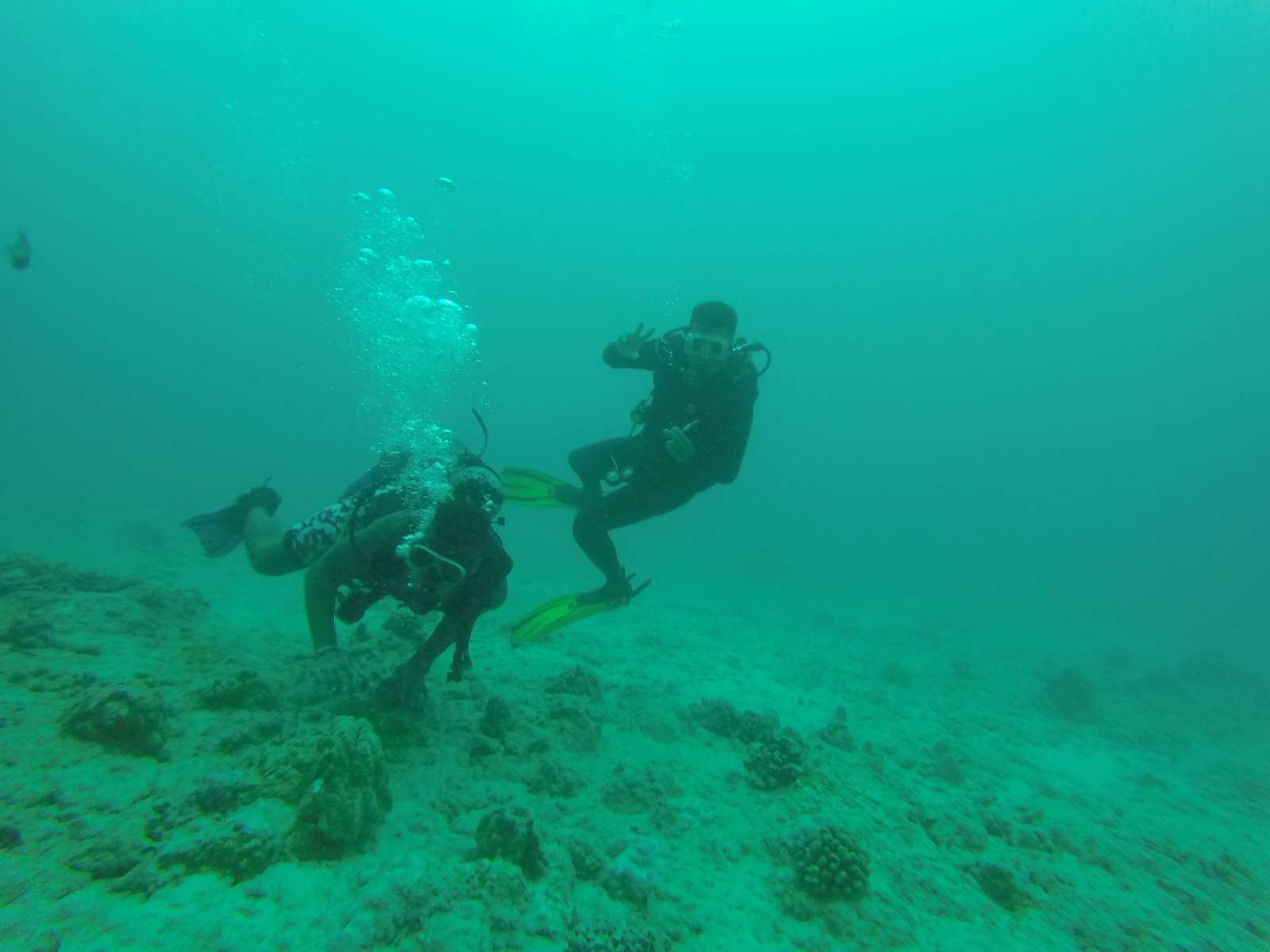Hawaii Scuba Diving - 06-04-2016