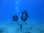 Hawaii Scuba divng 10