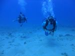 Hawaii Scuba divng 11