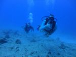 Hawaii Scuba divng 12