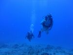 Hawaii Scuba divng 13