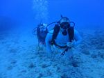 Hawaii Scuba divng 14