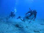 Hawaii Scuba divng 16