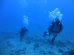 Hawaii Scuba divng 17