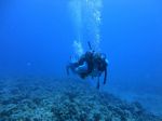 Hawaii Scuba divng 18