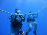 Hawaii Scuba divng 22