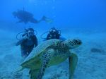 Hawaii Scuba divng 37