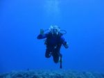 Hawaii Scuba divng 51