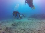 Hawaii Scuba divng 65