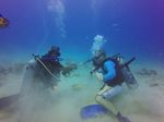 Hawaii Scuba divng 66