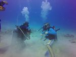 Hawaii Scuba divng 67