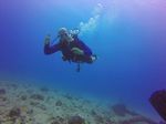 Hawaii Scuba divng 73