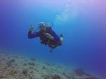 Hawaii Scuba divng 74