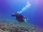 Hawaii Scuba divng 77