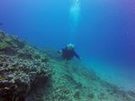 Hawaii Scuba divng 78