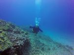 Hawaii Scuba divng 79