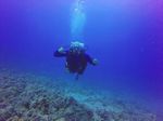 Hawaii Scuba divng 81