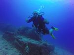 Hawaii Scuba divng 82