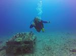 Hawaii Scuba divng 83