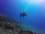 Hawaii Scuba divng 84