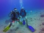 Hawaii Scuba divng 87