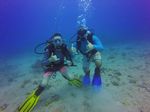 Hawaii Scuba divng 88