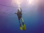 Hawaii Scuba divng 90