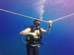 Hawaii Scuba divng 91