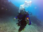 Hawaii Scuba divng 92