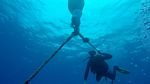 Hawaii Scuba divng 05