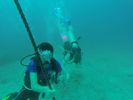 Hawaii Scuba divng 12