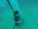 Hawaii Scuba divng 13