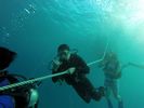 Hawaii Scuba divng 15