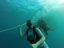 Hawaii Scuba divng 16