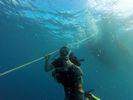 Hawaii Scuba divng 17