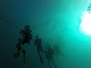 Hawaii Scuba divng 18