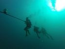Hawaii Scuba divng 19