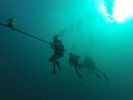 Hawaii Scuba divng 19